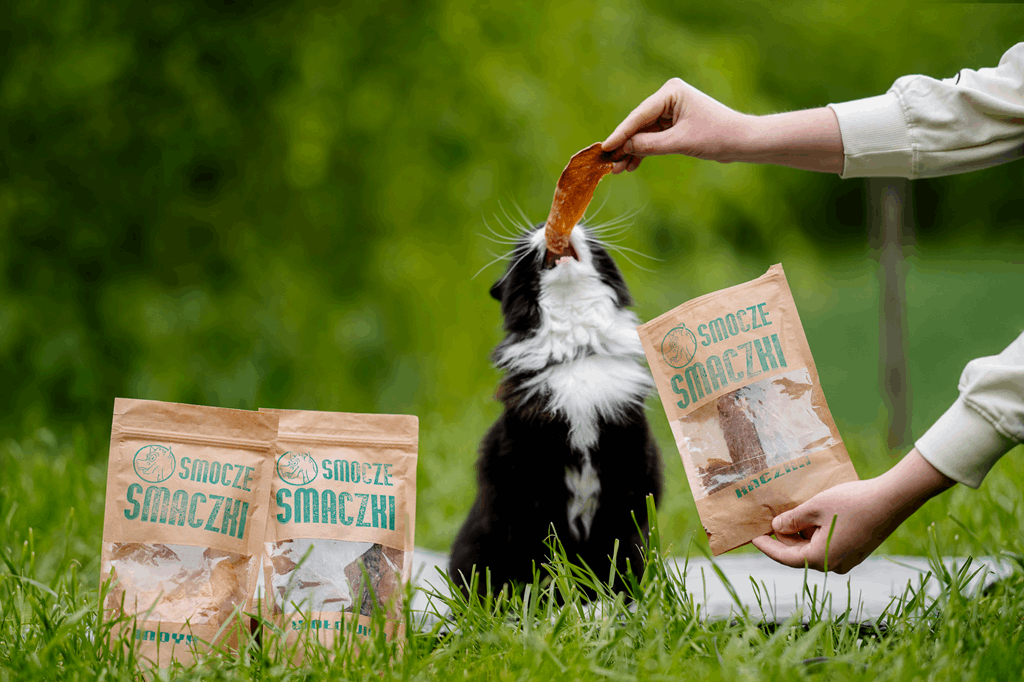 Paski suszonego mięsa